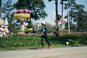 BIB: 
                            <button type="button" onclick="openModal(27615514)" class="btn btn-primary btn-sm float-right btn-popup" data-toggle="modal" data-target=".modal-high-quality">
                        <i class="fas fa-shopping-cart"></i> Add to Cart
                    </button>
                                            <button type="button" onclick="isThisMe(27615514, true)" class="btn btn-success btn-sm float-right btn-popup btn-isme hidden" data-toggle="tooltip" data-placement="bottom" title="นี่คือรูปของคุณใช่ไหม คลิกที่นี่เพื่อเอาเข้าอัลบั้ม">
                        <i class="fas fa-plus"></i> Add to album
                    </button>
                    <button type="button" onclick="isThisMe(27615514, false)" class="btn btn-warning btn-sm float-right btn-popup btn-isnotme hidden">
                        <i class="fas fa-ban"></i> Remove from album
                    </button>